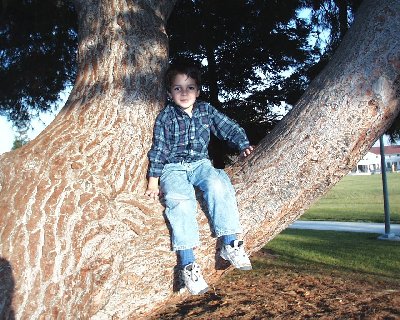 or20.jpg (58493 bytes)